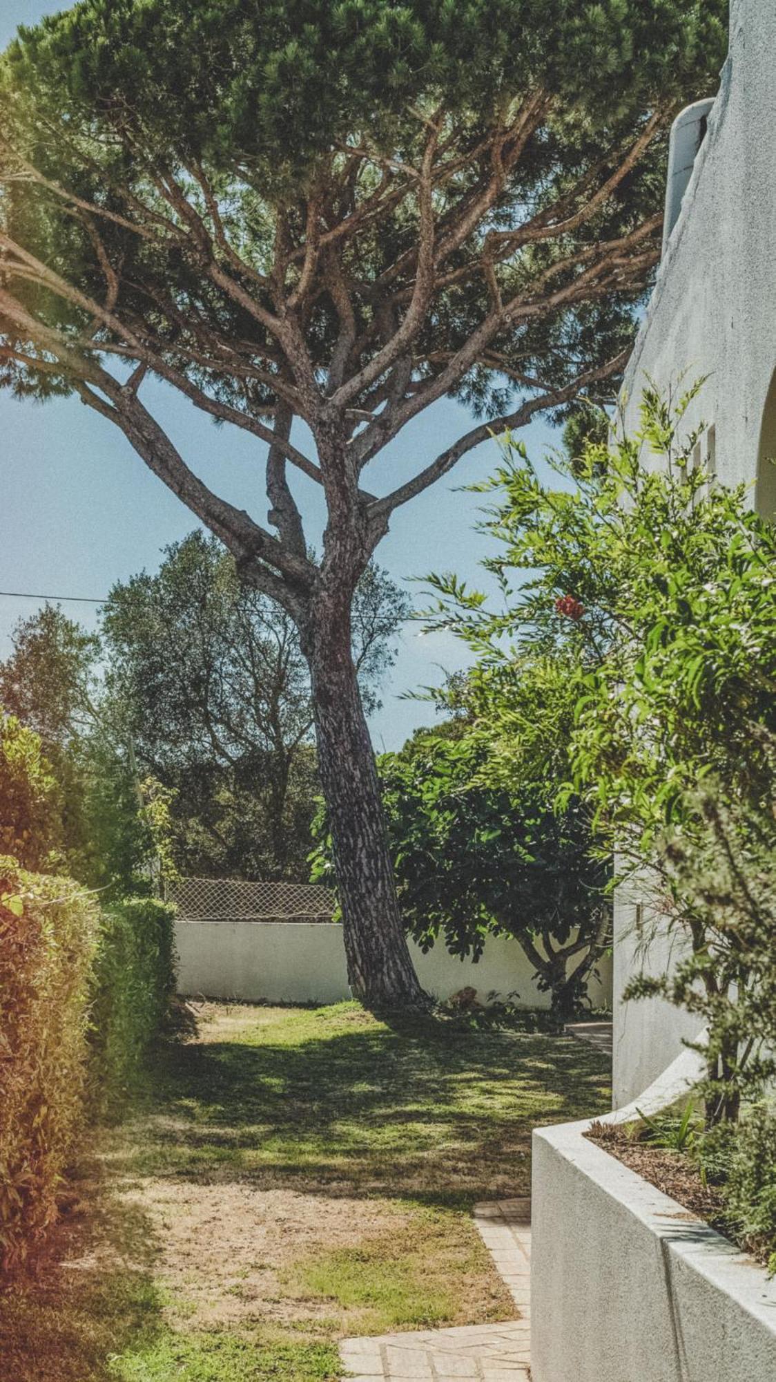 Pine House - Faro Airport, Beach And City Center Eksteriør bilde